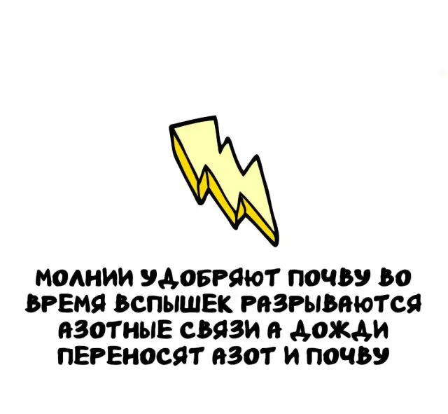 Интересные факты на все случаи жизни 22.12.2025