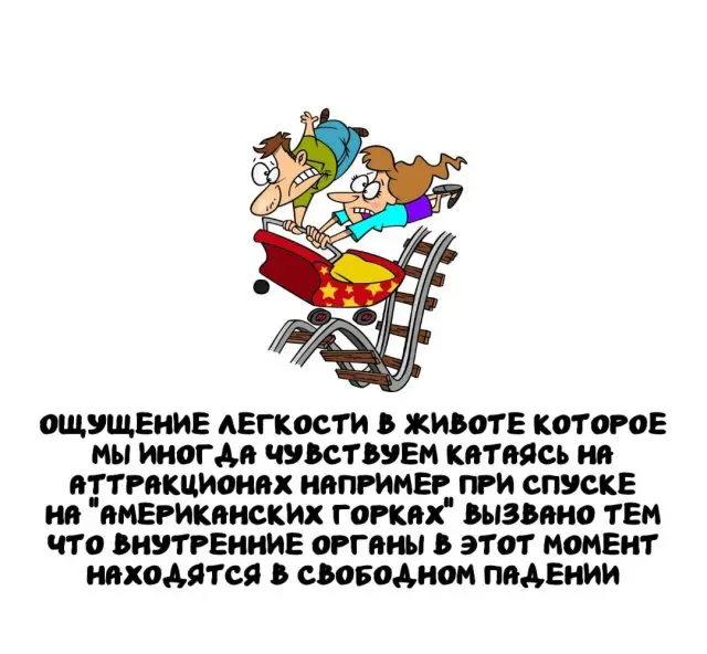 Интересные факты на все случаи жизни 24.12.2025