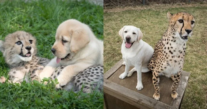 20 фотографий, полных магии повседневности