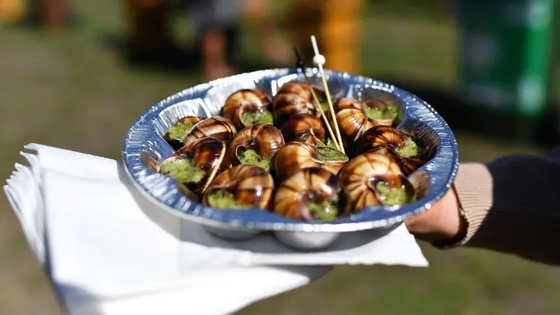 Во Франции перед Рождеством усилили охрану ферм с улитками, утками и устрицами