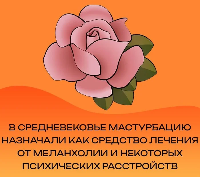 Сексуальная правда: 15 фактов, которым не научат в школе 04.12.2025