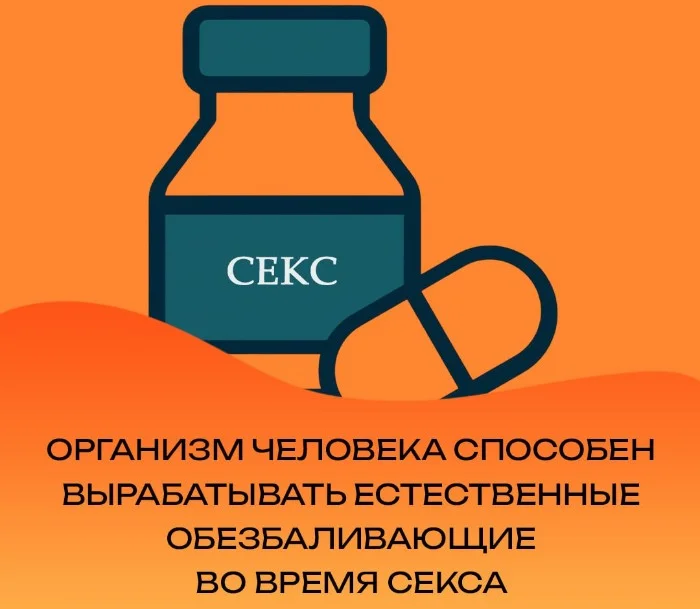 Сексуальная правда: 15 фактов, которым не научат в школе 16.12.2025