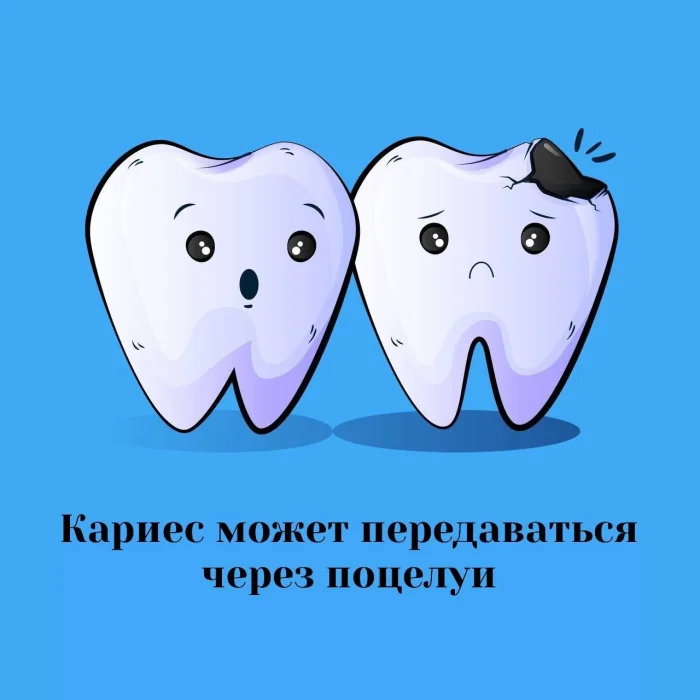 Сексуальная правда: 15 фактов, которым не научат в школе 17.12.2025