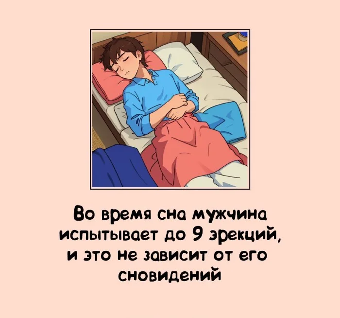 Сексуальная правда: 15 фактов, которым не научат в школе 29.12.2025