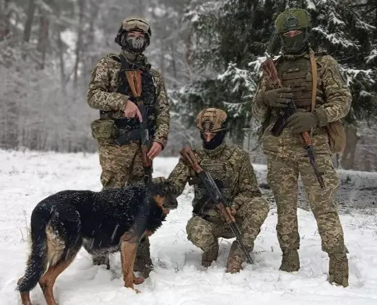 Як фонд перевіряє запит від військового підрозділу: логіка, документи та контроль виконання