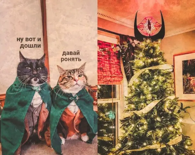 Котоподборка