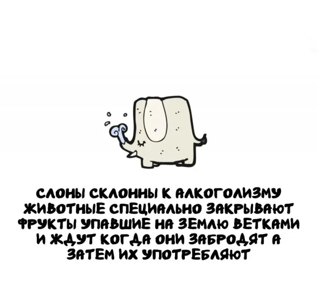 Интересные факты на все случаи жизни 23.02.2026