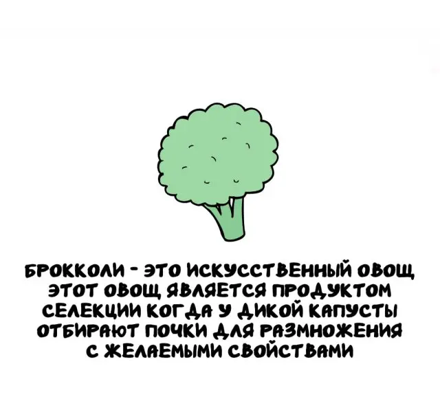 Интересные факты на все случаи жизни 24.02.2026