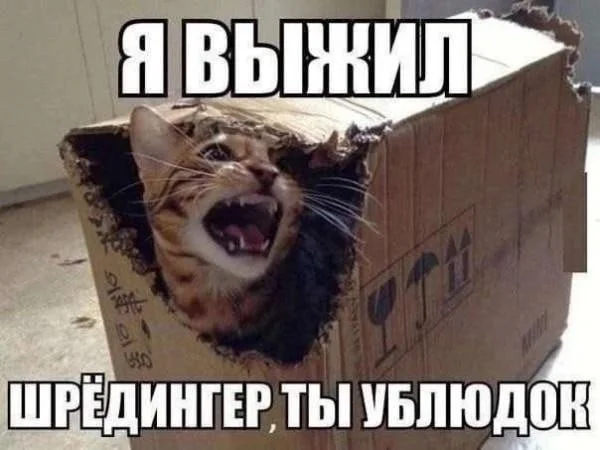 Подборка мемов, мимо которой невозможно пройти 22.02.2026