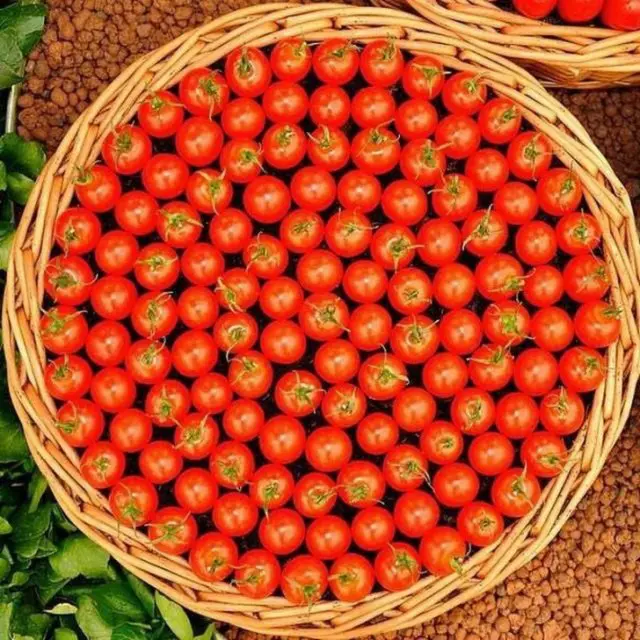 Подборка фотографий для перфекционистов 03.03.2026