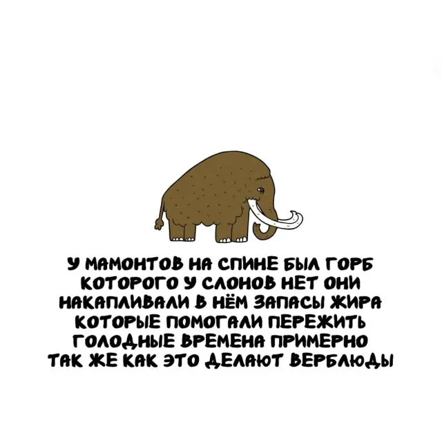 Интересные факты на все случаи жизни 09.03.2026