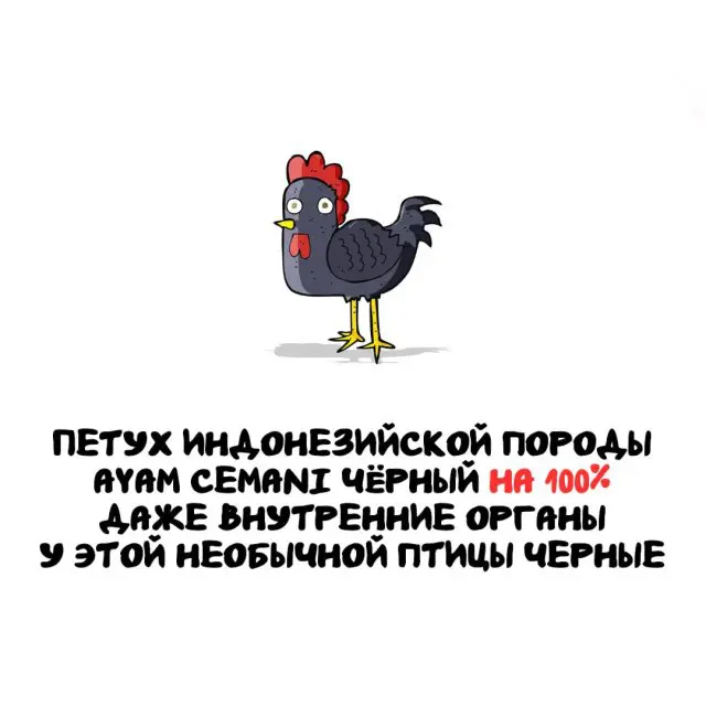 Интересные факты на все случаи жизни 10.03.2026