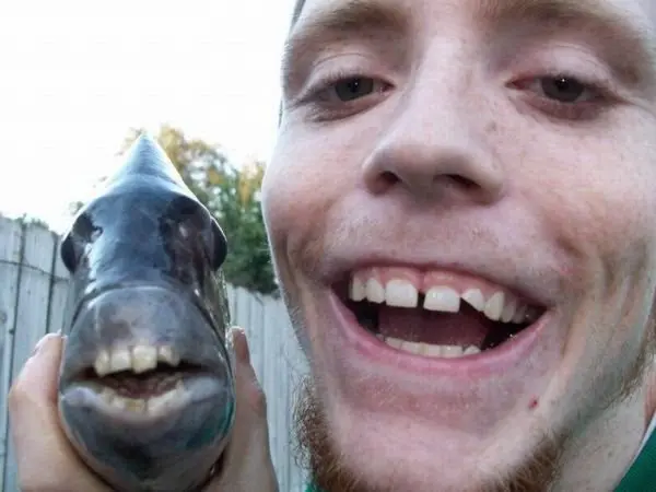 Подборка картинок 11.03.2026