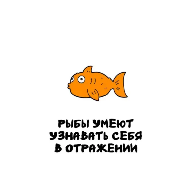 Интересные факты на все случаи жизни 18.03.2026