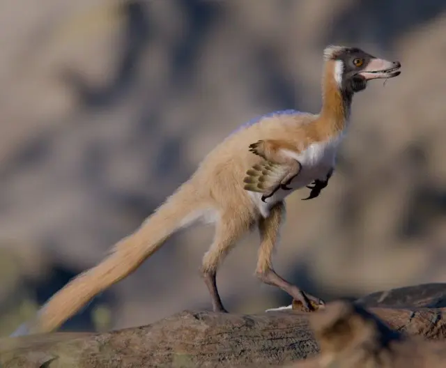 Обнаружены останки динозавра размером с ворону