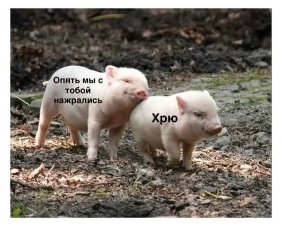 Лучшие шутки и мемы из Сети - 19.03.2026