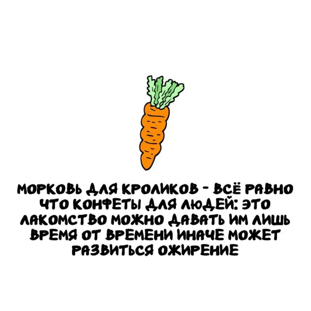 Интересные факты на все случаи жизни 20.03.2026