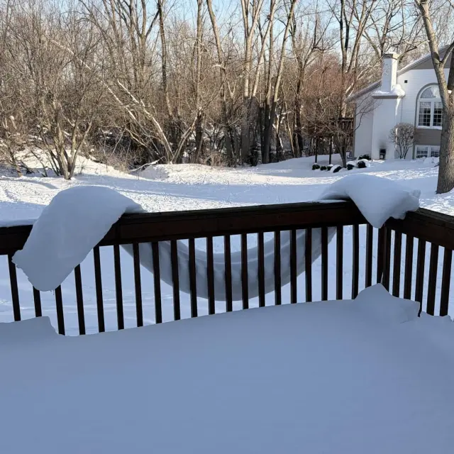 Случаи, когда окружающий мир удивил людей редкими интересностями