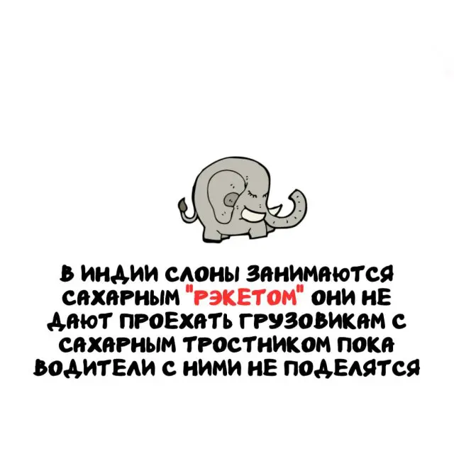 Интересные факты на все случаи жизни 28.03.2026