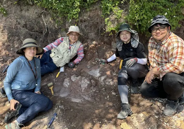 Останки ранее неизвестного пушистого динозавра обнаружили в Южной Корее