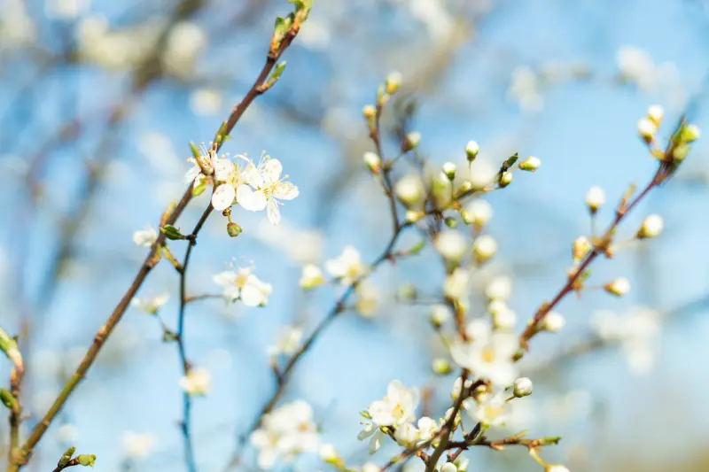 Весна пришла: 15 фактов о самом долгожданном времени года