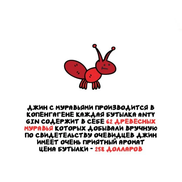 Факты на все случаи жизни 08.03.2026