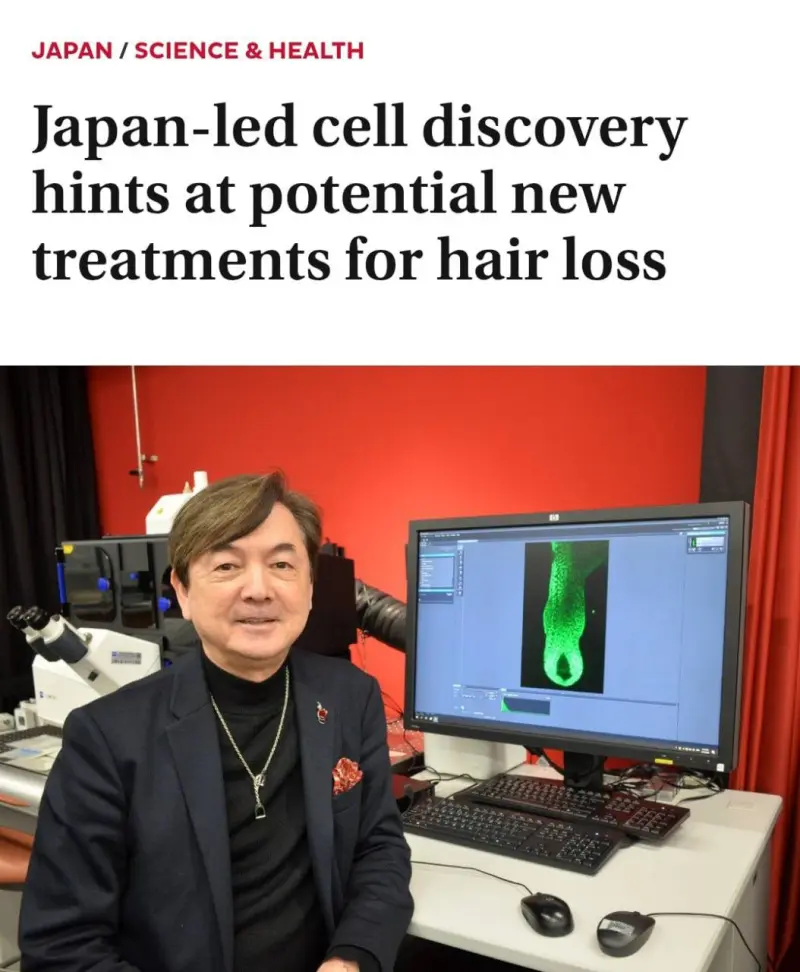 В Японии нашли лекарство от облысения