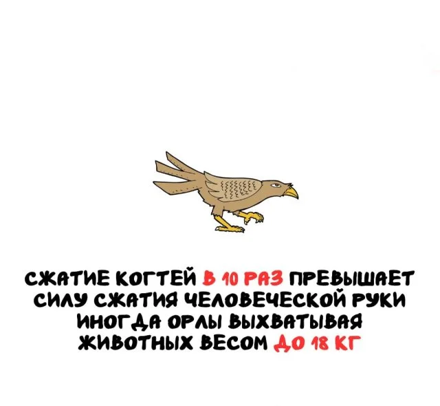 Коллекция необычных фактов на разные темы 07.03.2026