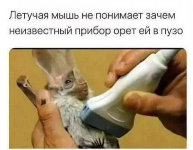 Мемы и картинки 22.03.2026