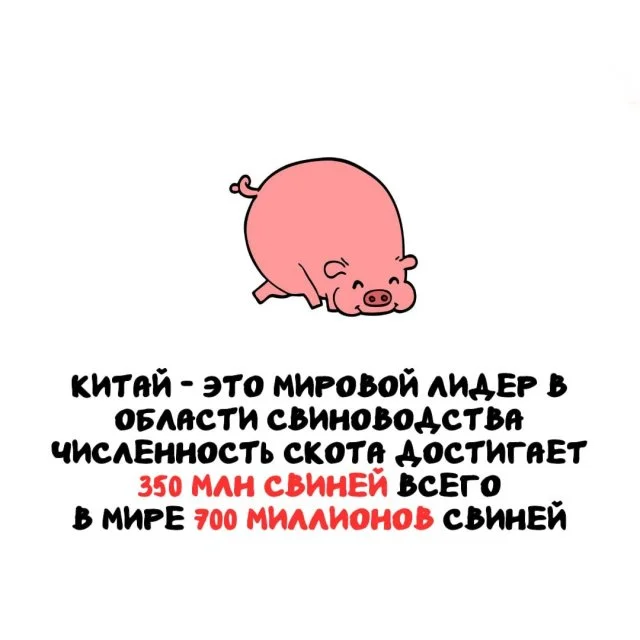 Необычные факты для любого настроения 15.03.2026