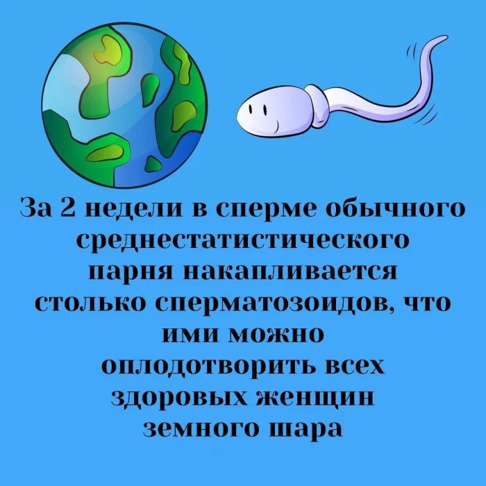 Сексуальная правда: 15 фактов, которым не научат в школе 05.03.2026