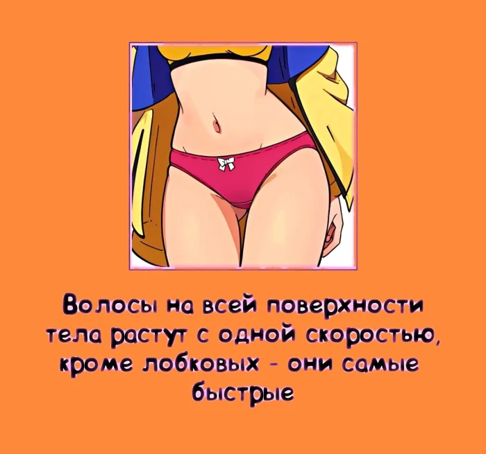 Сексуальная правда: 15 фактов, которым не научат в школе 18.03.2026