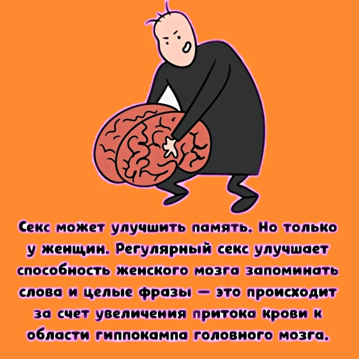 Сексуальная правда: 15 фактов, которым не научат в школе 23.03.2026