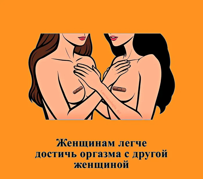 Сексуальная правда: 15 фактов, которым не научат в школе 24.03.2026