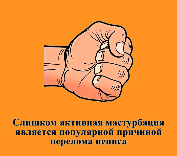 Сексуальная правда: 15 фактов, которым не научат в школе 25.03.2026