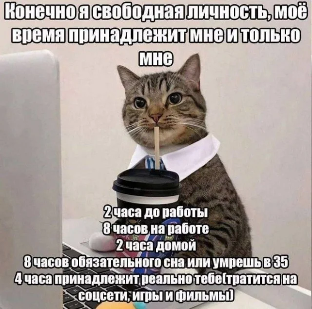 Смех без инструкции 16.03.2026