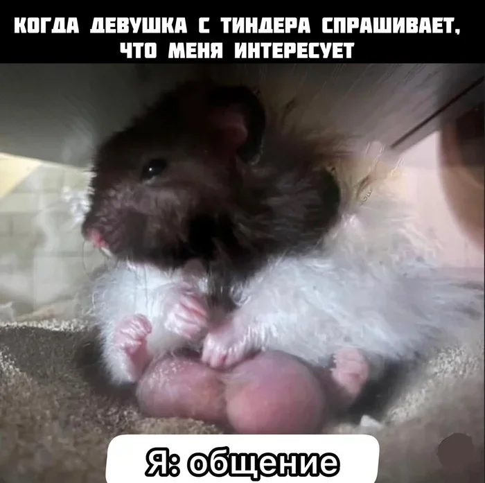 Смеха и юмора пост 30.03.2026