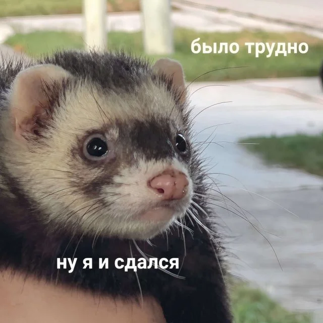 Смешные картинки 22.03.2026