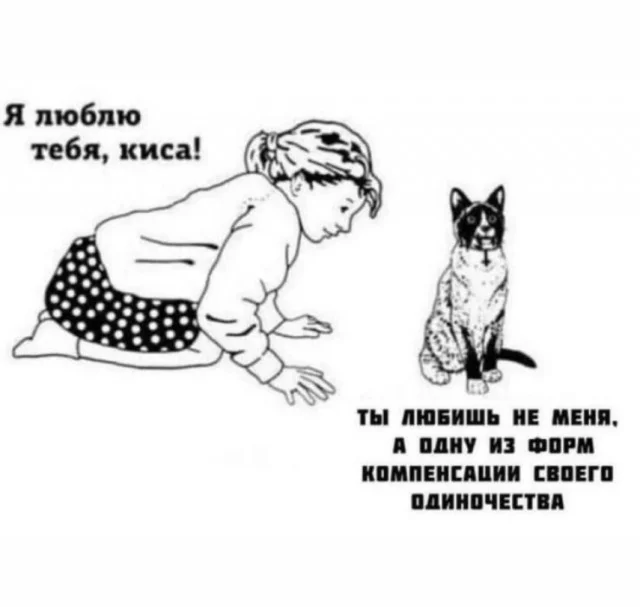 Смешные приколы 25.03.2026