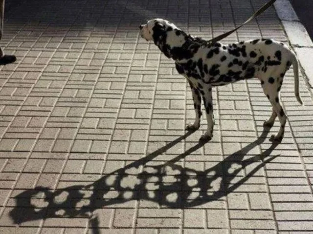 То, что насмешило интернет 19.03.2026