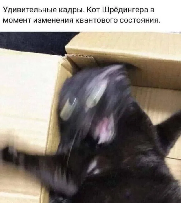 Весёлости картинки 08.03.2026