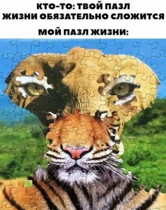 Картинки для смеха 08.04.2026