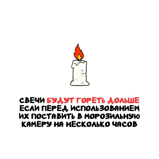 Интересные факты на все случаи жизни 01.04.2026