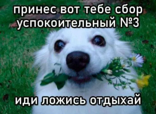 Лучшие шутки и мемы из Сети - 03.04.2026