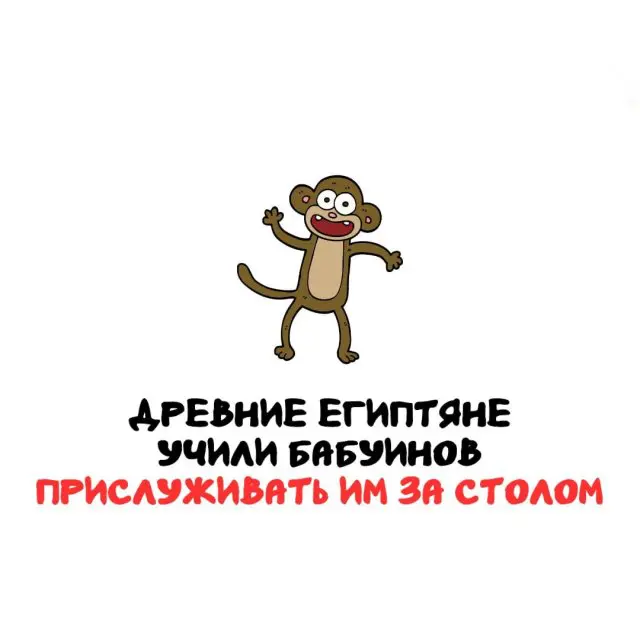 Интересные факты на все случаи жизни 08.04.2026