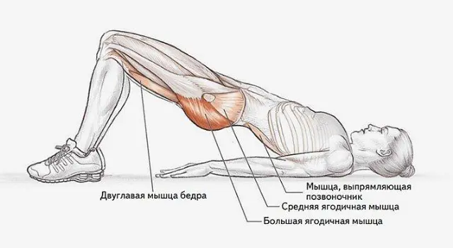 Эксперты назвали ключевые мышцы для долголетия