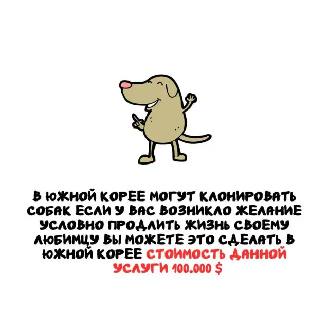 Интересные факты на все случаи жизни 13.04.2026