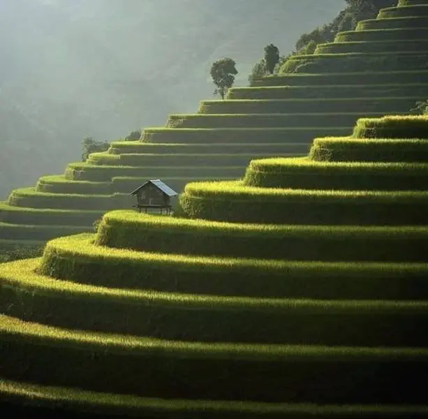 Подборка картинок 17.04.2026