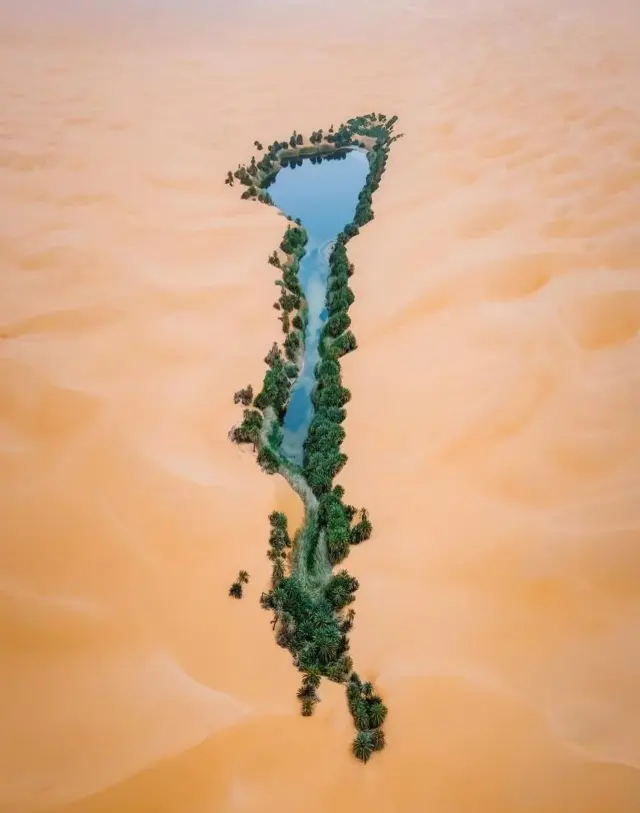 Оазис среди песков: редкое озеро Ам-Альма заметили с высоты в сердце Сахары