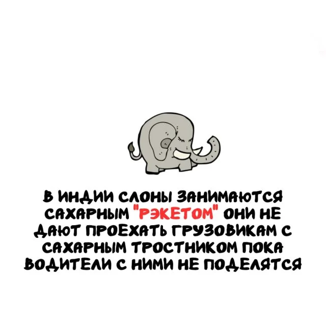 Факты, которые удивят в любой ситуации 03.04.2026